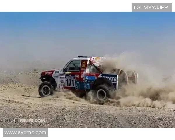 雨战胜率分析及其对战术调整的影响研究与探讨